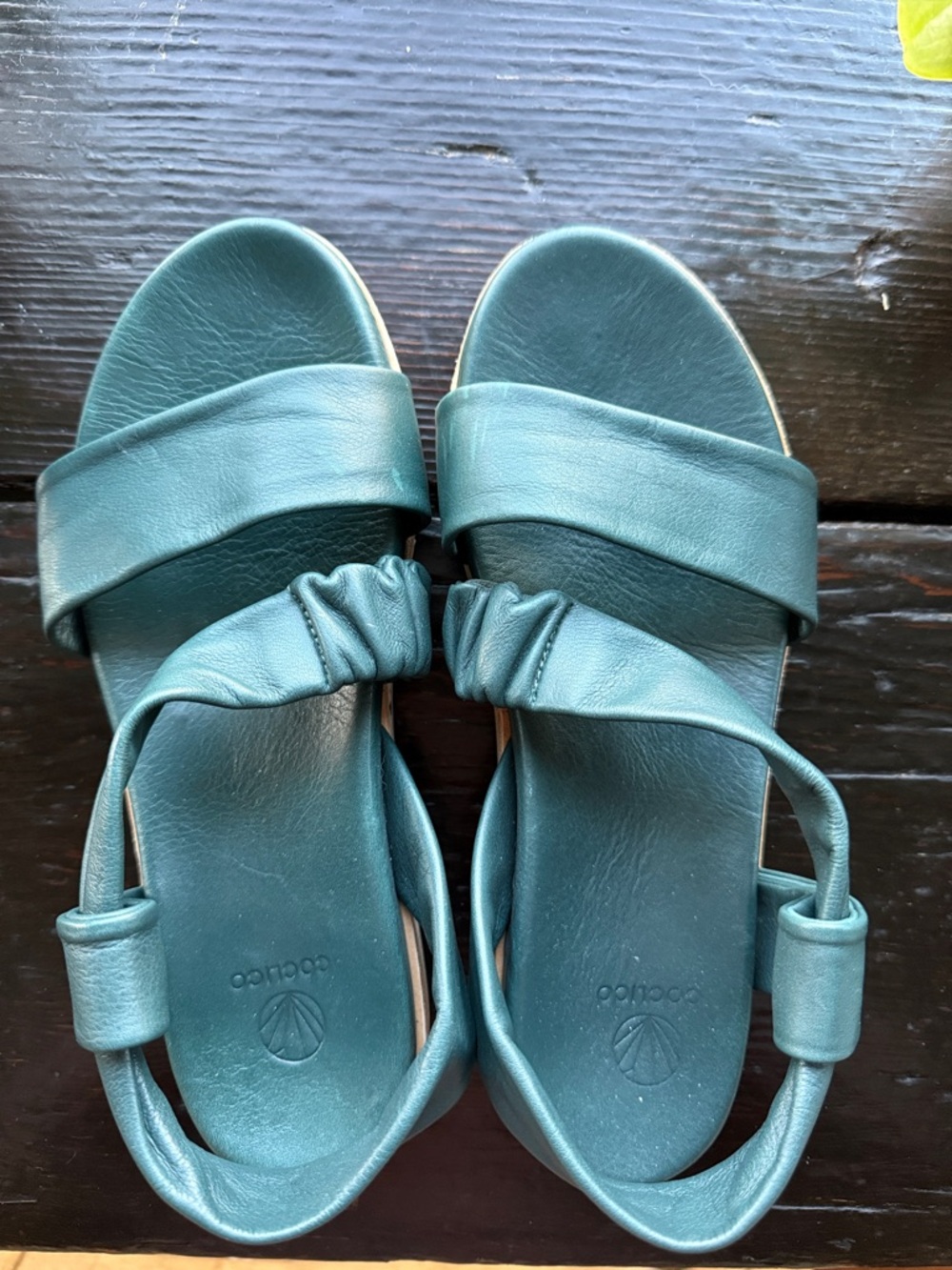 Coclico pakisma sandals